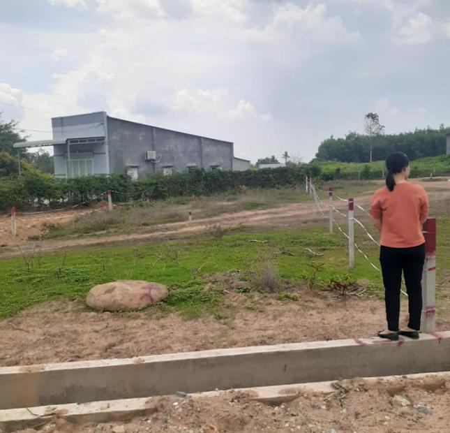 Bán đất tại xã Tam Phước, huyện Long Điền, tỉnh Bà Rịa - Vũng Tàu.